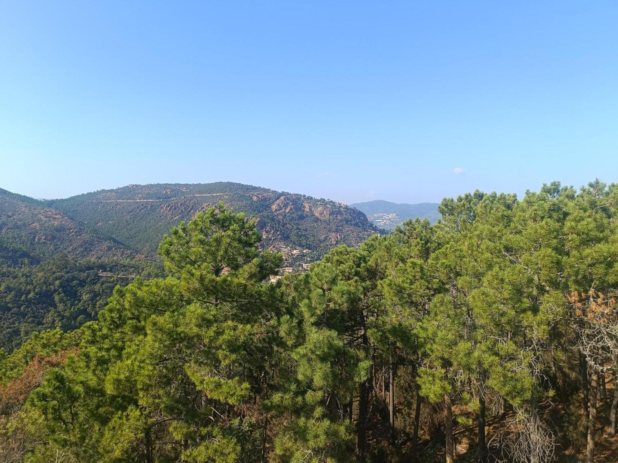 Magnifique Vue Mer Et Piscine - Les Cles De L Esterel Theoule-sur-Mer Bagian luar foto